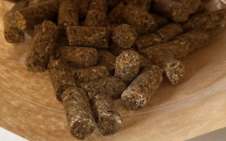 HORSAL Grain Snack 1 kg sáček